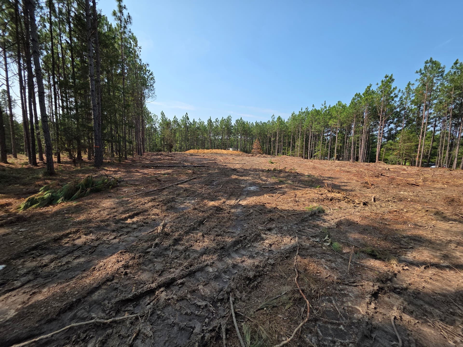 Gallery photos for Wooded Land Clearing in Progress in Camden SC: Image #3