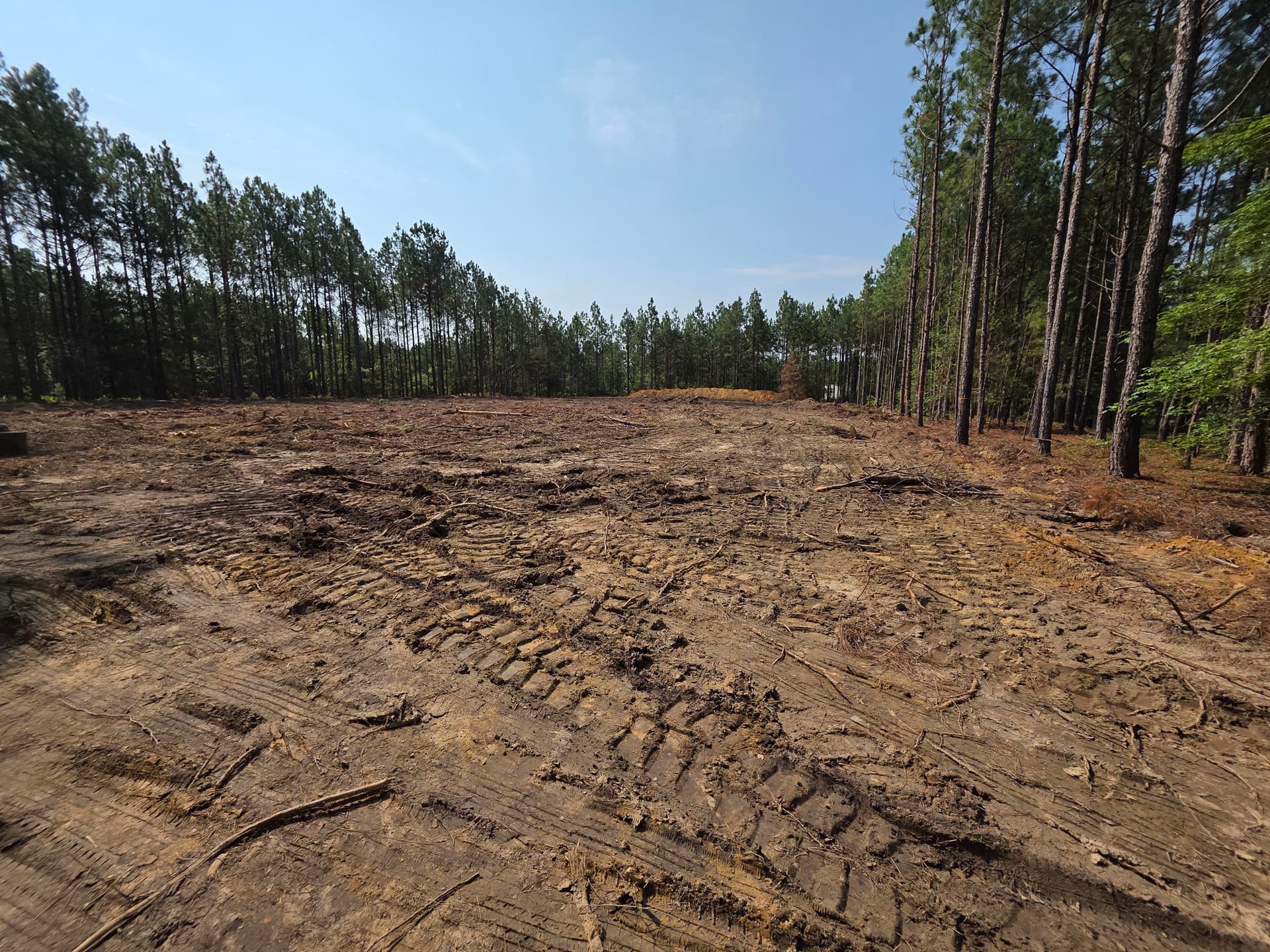 Gallery photos for Wooded Land Clearing in Progress in Camden SC: Image #4